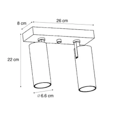 QAZQA Professional Led-Deckenleuchten|Deckenleuchten*Moderne Deckenleuchte Schwarz inkl. LED Dimmbar 2-flammig - Tate