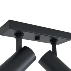 QAZQA Professional Led-Deckenleuchten|Deckenleuchten*Moderne Deckenleuchte Schwarz inkl. LED Dimmbar 2-flammig - Tate