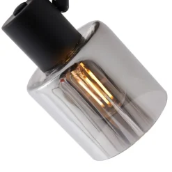 QAZQA Deckenstrahler|Aufbaustrahler*Moderne Deckenleuchte Schwarz mit rundem Rauchglas - Cilin