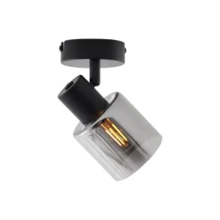 QAZQA Deckenstrahler|Aufbaustrahler*Moderne Deckenleuchte Schwarz mit rundem Rauchglas - Cilin