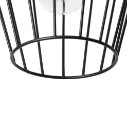 QAZQA Deckenleuchten|Wohnzimmerlampen*Moderne Deckenleuchte Schwarz Draht - Palica