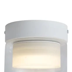 QAZQA Gartenbeleuchtung|Badezimmerlampen*Moderne Deckenleuchte weiß mit Klarglas - Puck