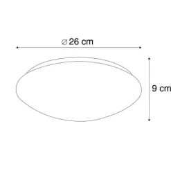QAZQA Schlafzimmerlampen|Küchenlampen*Moderne Deckenleuchte weiß 26 cm inkl. LED - Iene