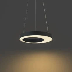 QAZQA Pendelleuchten|Wohnzimmerlampen*Moderne Hängelampe schwarz 50cm inkl. LED 3-Stufen-Dimmbar - Organici