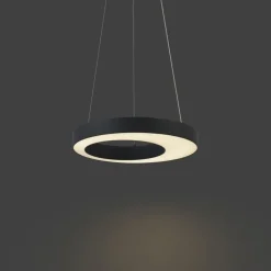 QAZQA Pendelleuchten|Wohnzimmerlampen*Moderne Hängelampe schwarz 50cm inkl. LED 3-Stufen-Dimmbar - Organici