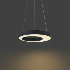 QAZQA Pendelleuchten|Wohnzimmerlampen*Moderne Hängelampe schwarz 50cm inkl. LED 3-Stufen-Dimmbar - Organici