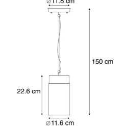QAZQA Gartenbeleuchtung|Pendelleuchten Außen*Moderne Hängelampe Schwarz mit Glas IP44 - Jarra
