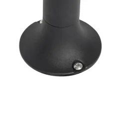 QAZQA Gartenbeleuchtung|Stehlampen Außen*Moderne Outdoor-Stange schwarz 60 cm IP44 - Ciara