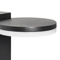 QAZQA Gartenbeleuchtung|Led-Außenleuchten*Moderne stehende Außenleuchte schwarz 80 cm inkl. LED IP44 - Esmee