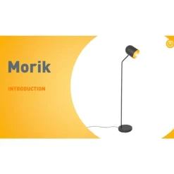 QAZQA Stehlampen|Wohnzimmerlampen*Moderne Stehlampe schwarz mit Gold verstellbar – Morik