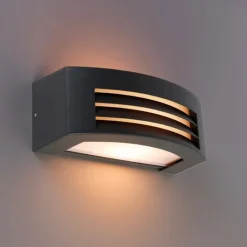 QAZQA Gartenbeleuchtung|Außenwandleuchten*Moderne Wandleuchte Anthrazit IP44 - Hurricane 1