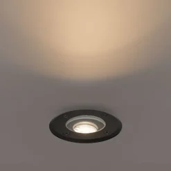 QAZQA Gartenbeleuchtung|Bodenstrahler Außen*Moderner Außen-Bodenstrahler schwarz 35 mm verstellbar IP65 - Delux