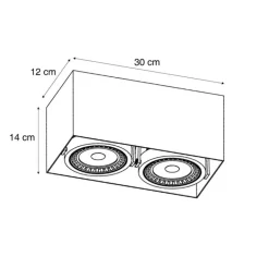 QAZQA Professional Deckenstrahler|Aufbaustrahler*Moderner Aufbaustrahler schwarz inkl. dimmbarer LED 2-flammig - Dionysos