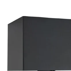 QAZQA Professional Deckenstrahler|Aufbaustrahler*Moderner Aufbaustrahler schwarz inkl. dimmbarer LED 2-flammig - Dionysos