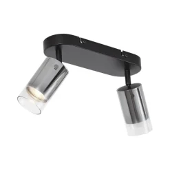 QAZQA Deckenstrahler|Aufbaustrahler*Moderner Deckenspot Gunmetal 2-flammig drehbar und verstellbar - Drain