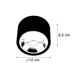 QAZQA Schlafzimmerlampen|Küchenlampen*Moderner Deckenspot schwarz AR111 inkl. LED - Expert