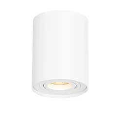 QAZQA Schlafzimmerlampen|Küchenlampen*Moderner Deckenspot weiß dreh- und neigbar - Rondoo up