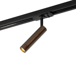 QAZQA Schlafzimmerlampen|Küchenlampen*Moderner Dunkelbronze-Spot für 1-phasiges Schienensystem - Iconic Ivy