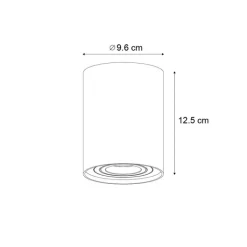 QAZQA Wandstrahler|Deckenstrahler*Moderner Einbaustrahler Gunmetal GU10 50mm schwenkbar - Rondoo Up