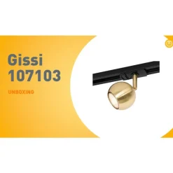 QAZQA Deckenstrahler|Aufbaustrahler*Moderner 1-phasiger Schienenstrahler schwarz mit Gold - Iconic Gissi