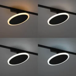 QAZQA Schlafzimmerlampen|Küchenlampen*Moderner schwarzer Strahler für 1-phasiges Schienensystem inkl. LED - Magnetic Puk