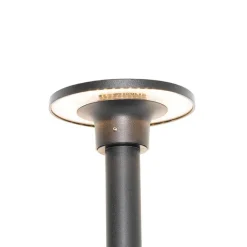 QAZQA Gartenbeleuchtung|Led-Außenleuchten*Moderner Spießspot schwarz inkl. LED IP54 - Skyf