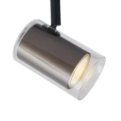 QAZQA Deckenstrahler|Aufbaustrahler*Moderner Strahler Dunkelbronze mit Klarglas für Schienensystem 1-phasig - Iconic Lloyd