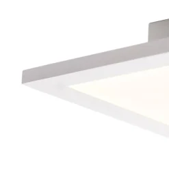 QAZQA Led Panels|Led-Deckenleuchten*Modernes LED-Panel Stahl 120 cm inkl. LED 4-stufig dimmbar - Liv