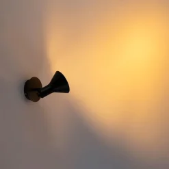 QAZQA Wandstrahler|Deckenstrahler*Modernes Spot Schwarz 1-flammig - Magno