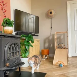 QAZQA Schlafzimmerlampen|Küchenlampen*Orientalische Wandleuchte Rattan 35 cm mit Stecker - Rina