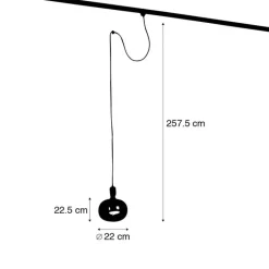 QAZQA Deckenstrahler|Aufbaustrahler*Pendelleuchte mit Schienenaufhängung schwarz inkl. LED G220 - Cavalux