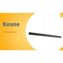 QAZQA Professional Led-Pendelleuchten|Pendelleuchten*Pendelleuchte schwarz inkl. LED 3-Stufen-Dimmbar 2700-4000K mit Dip-Schalter - Keane