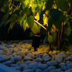 QAZQA Gartenbeleuchtung|Außenstrahler*Punktlicht anthrazit einstellbar IP44 - Solo