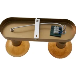 QAZQA Deckenstrahler|Aufbaustrahler*Runde Deckenleuchte Gold mit Bernsteinglas 2-flammig - Teddy