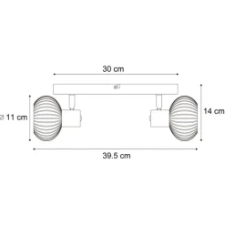 QAZQA Deckenstrahler|Aufbaustrahler*Runde Deckenleuchte schwarz mit Rauchglas 2-flammig - Teddy