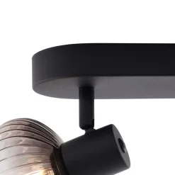 QAZQA Deckenstrahler|Aufbaustrahler*Runde Deckenleuchte schwarz mit Rauchglas 2-flammig - Teddy