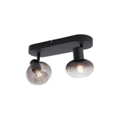 QAZQA Deckenstrahler|Aufbaustrahler*Runde Deckenleuchte schwarz mit Rauchglas 2-flammig - Teddy