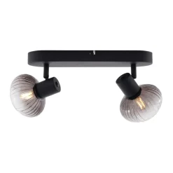 QAZQA Deckenstrahler|Aufbaustrahler*Runde Deckenleuchte schwarz mit Rauchglas 2-flammig - Teddy