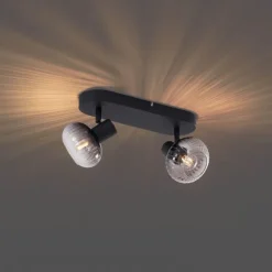 QAZQA Deckenstrahler|Aufbaustrahler*Runde Deckenleuchte schwarz mit Rauchglas 2-flammig - Teddy