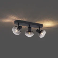 QAZQA Deckenstrahler|Aufbaustrahler*Runde Deckenleuchte schwarz mit Rauchglas 3-flammig - Teddy