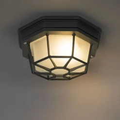 QAZQA Gartenbeleuchtung|Deckenleuchten Außen*Rural Deckenleuchte dunkelgrau IP44 - Bri S