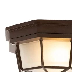 QAZQA Deckenleuchten Außen|Gartenbeleuchtung*Rustikale Deckenleuchte Rostbraun 21,3 cm IP44 - Bri