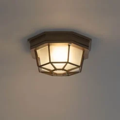 QAZQA Deckenleuchten Außen|Gartenbeleuchtung*Rustikale Deckenleuchte Rostbraun 21,3 cm IP44 - Bri