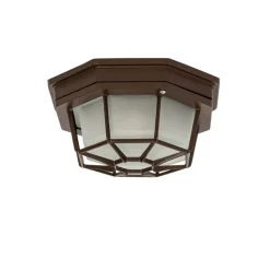 QAZQA Deckenleuchten Außen|Gartenbeleuchtung*Rustikale Deckenleuchte Rostbraun 21,3 cm IP44 - Bri