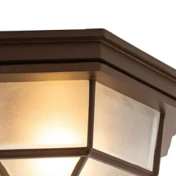 QAZQA Deckenleuchten Außen|Gartenbeleuchtung*Rustikale Deckenleuchte Rostbraun 26,5 IP44 - Bri