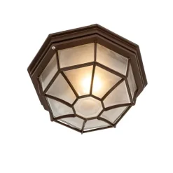 QAZQA Deckenleuchten Außen|Gartenbeleuchtung*Rustikale Deckenleuchte Rostbraun 26,5 IP44 - Bri