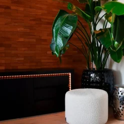 Calex Smarte Glühbirnen|Smarte Glühbirnen*Set aus 2 smarten LED-Streifen RGBW und dimmbar in Kelvin 2 m inkl. Treiber