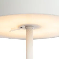 QAZQA Gartenbeleuchtung|Led-Außenleuchten*Set mit 2 Outdoor-Tischlampen Pilz weiß wiederaufladbar - Keira