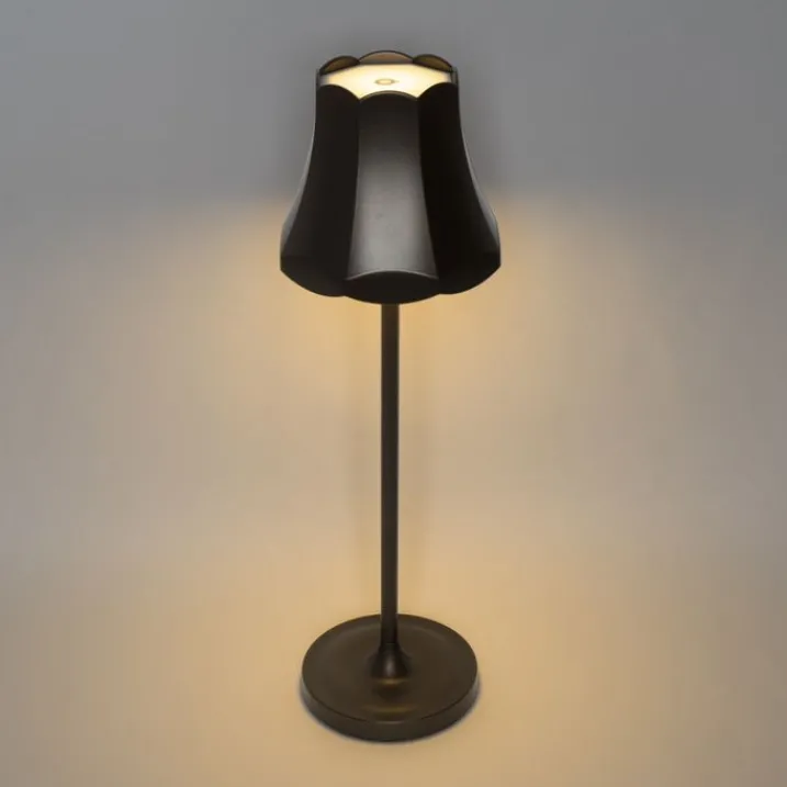 QAZQA Gartenbeleuchtung|Led-Außenleuchten*Set mit 2 Retro-Tischleuchten Dunkelbronze wiederaufladbar IP44 - Granny