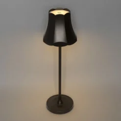 QAZQA Gartenbeleuchtung|Led-Außenleuchten*Set mit 2 Retro-Tischleuchten Dunkelbronze wiederaufladbar IP44 - Granny